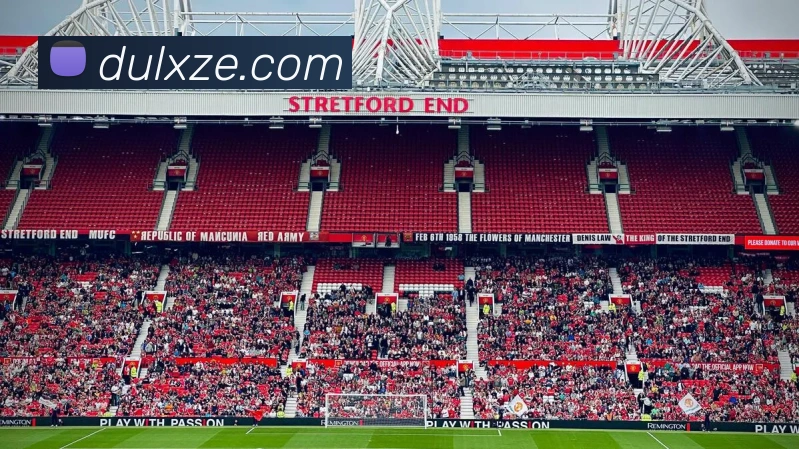 世界杯官网首页平台生态图